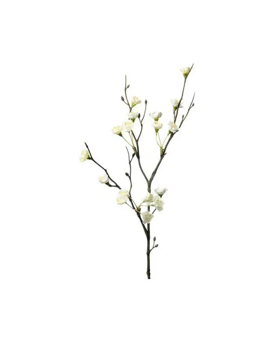 Blomkvist vit