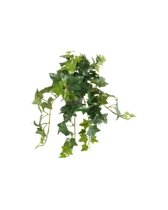 Vedbend potteplante grøn