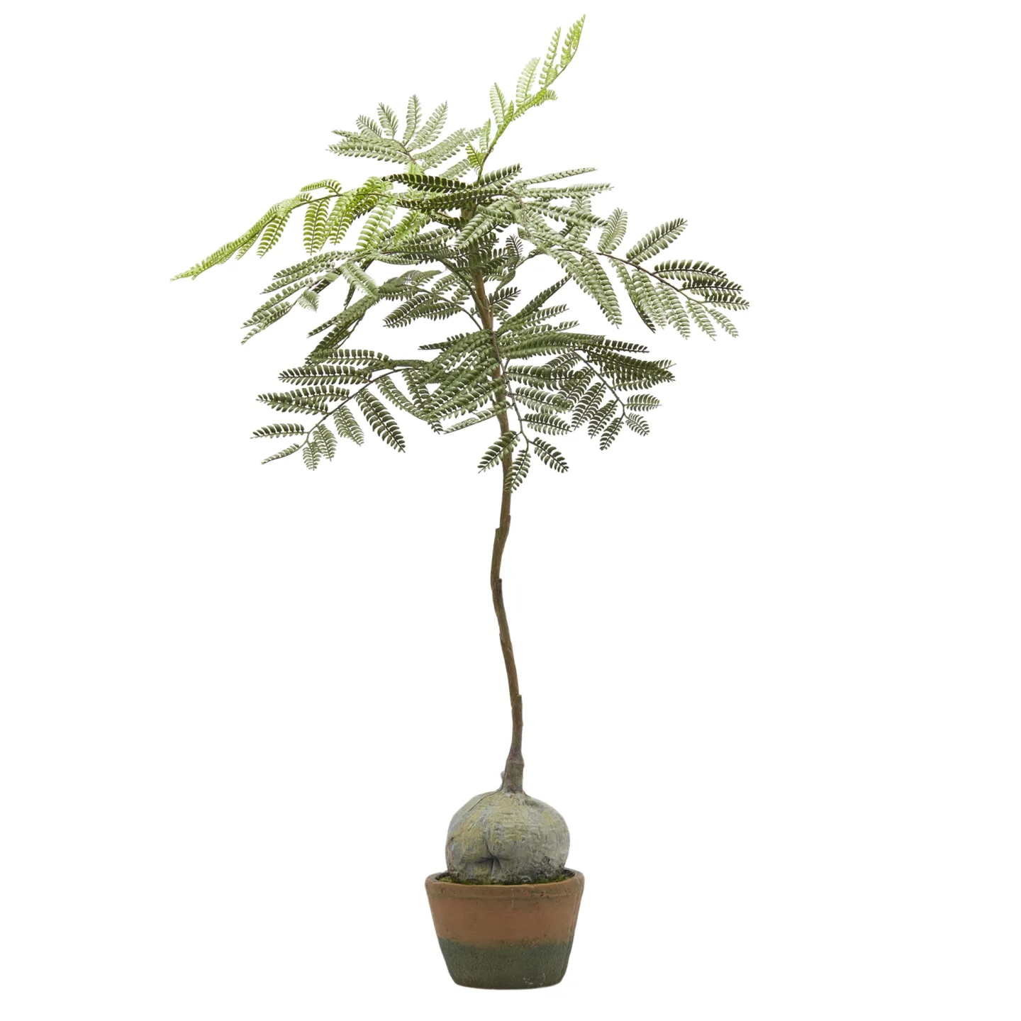 Edg Kunstpflanze Palisanderbaum H: 98 cm | Schubiger Möbel