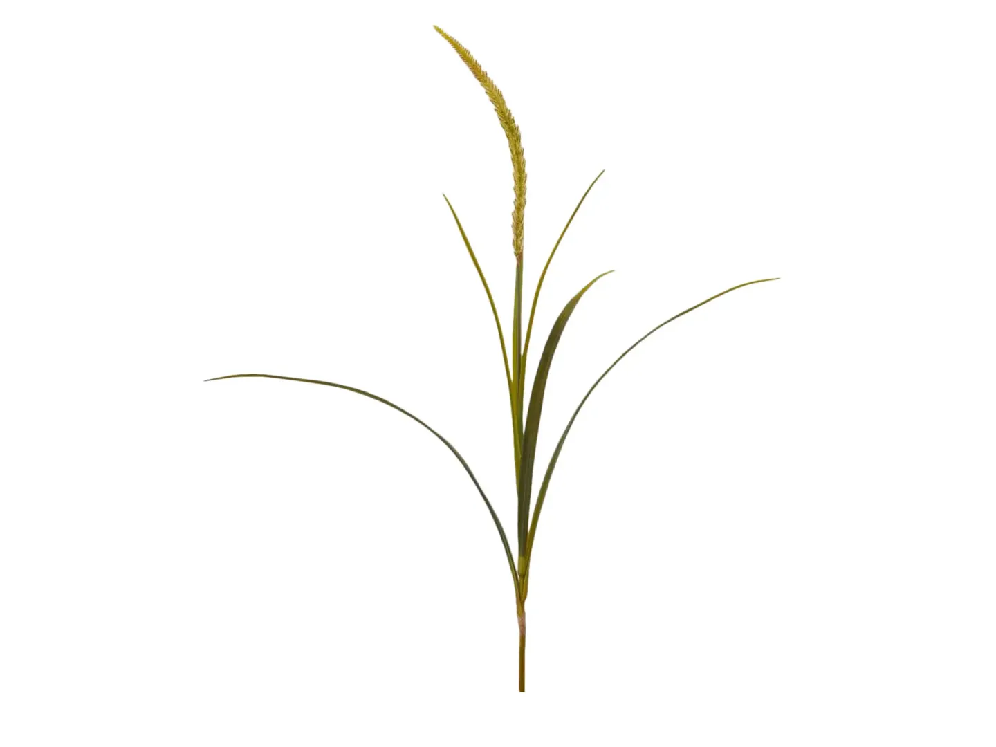 Edg Kunstblumen Gras Grün H: 110 cm | Schubiger Möbel