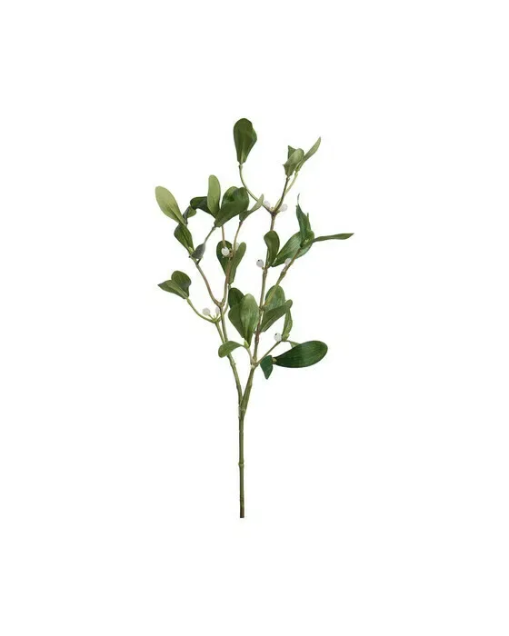 Mistelten, afskåret plante i grøn