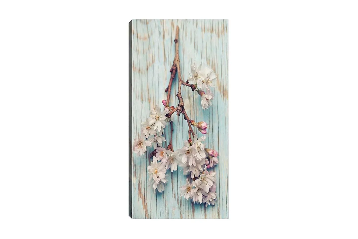 Canvastavla DKY Floral & Botanical Flerfärgad - 50x120 cm