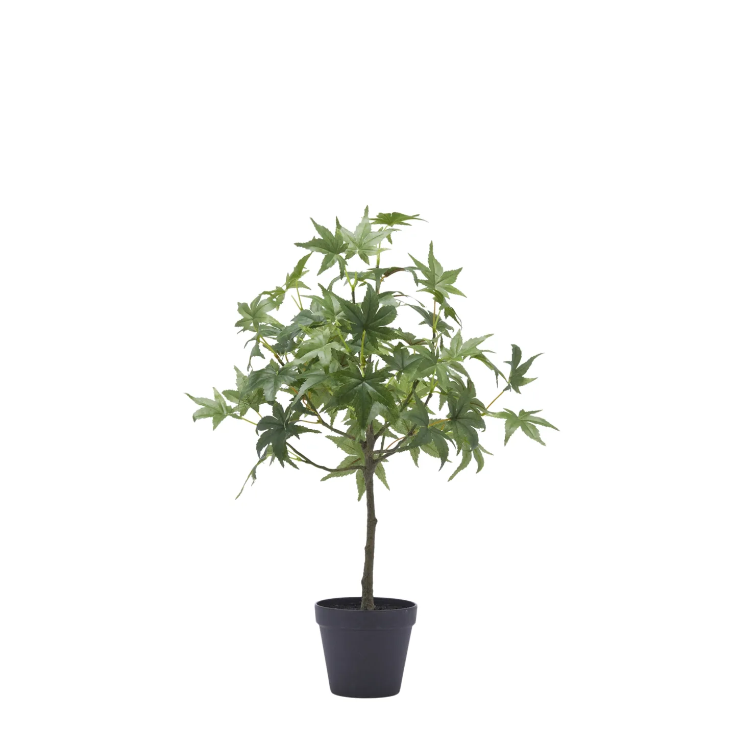 Edg Kunstpflanze Ahornbaum H: 56 cm | Schubiger Möbel