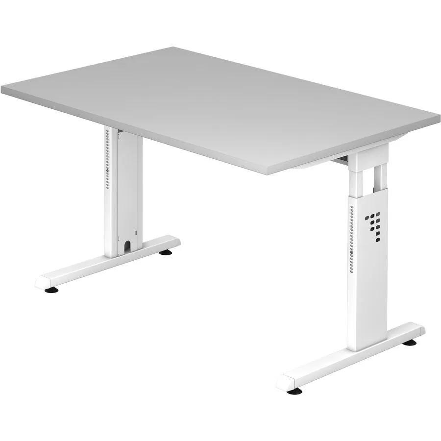 Schreibtisch Office grau Holzwerkstoff B 120 T 80 cm