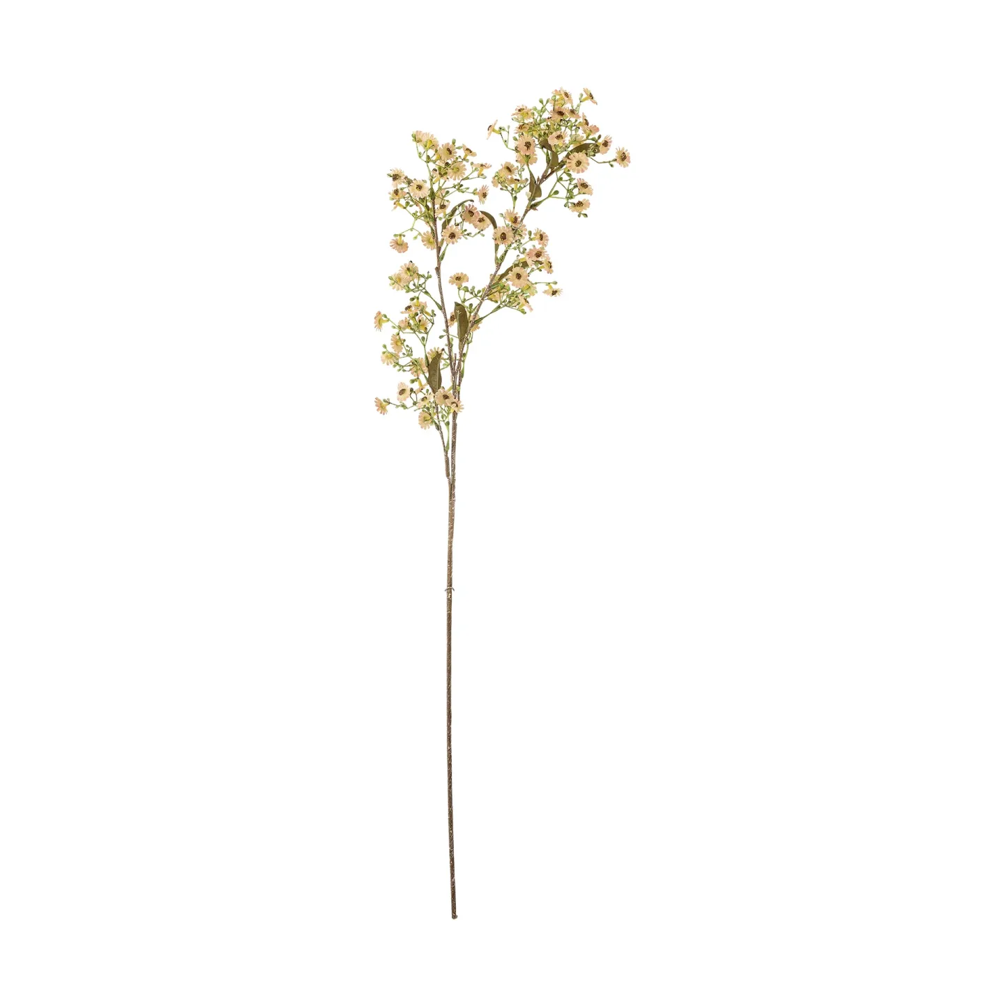 Bloomingville Stem vaxblomma Vit