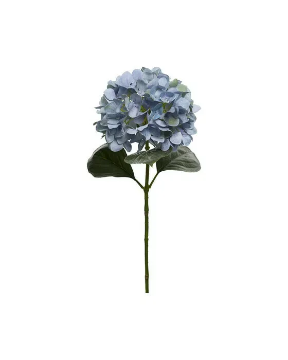 Hortensie Schnittblume blau/grün