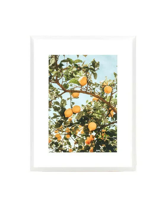 Lemons