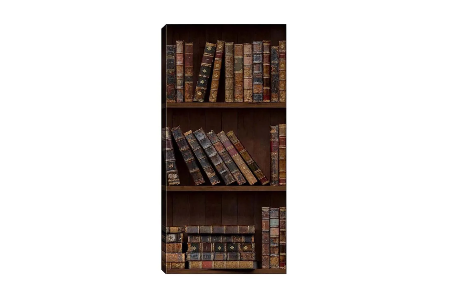 Canvastavla DKY Reading and Literature Flerfärgad - 50x120 cm