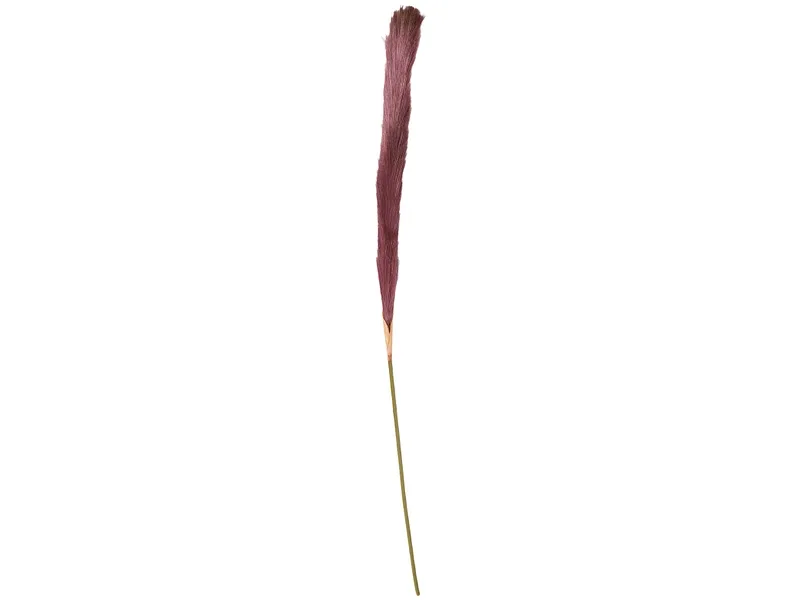 Pampas LIANA Violett