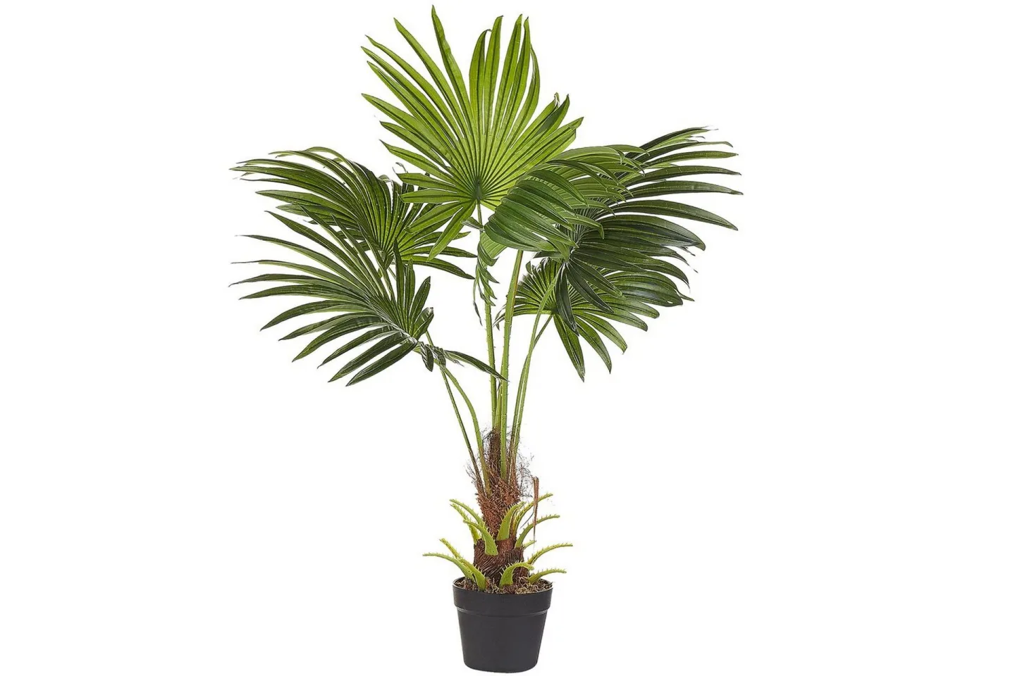 Konstgjord växt Fan Palm -