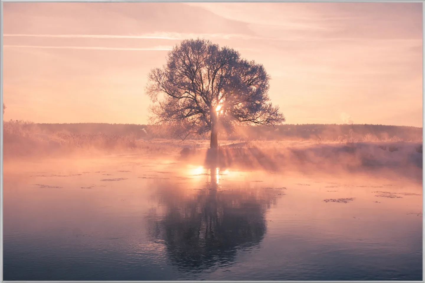 image LAND Bild mit Rahmen Baum mit Spiegelung | Schubiger Möbel