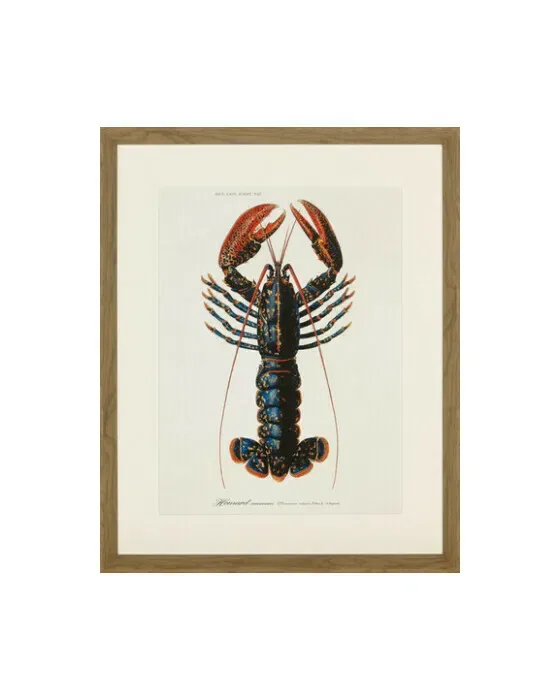 Lobster 2