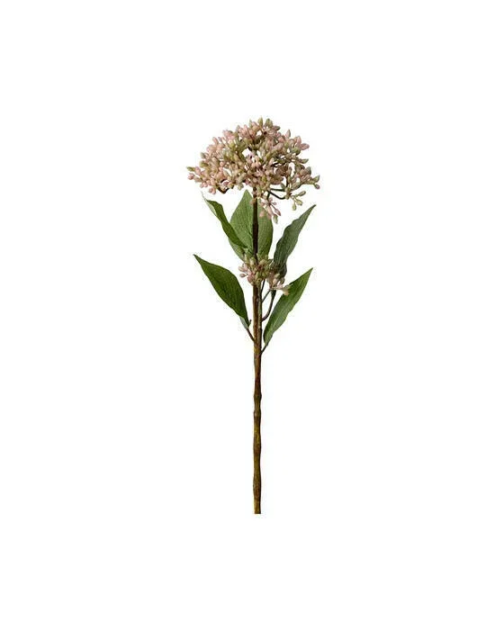 Bärkvist snitblomst mørkrosa