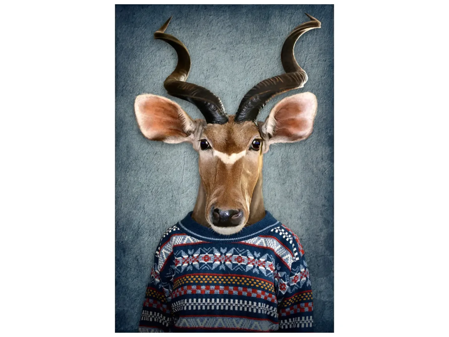 image LAND Digitaldruck auf Glas Antilope mit Pulli | Schubiger Möbel
