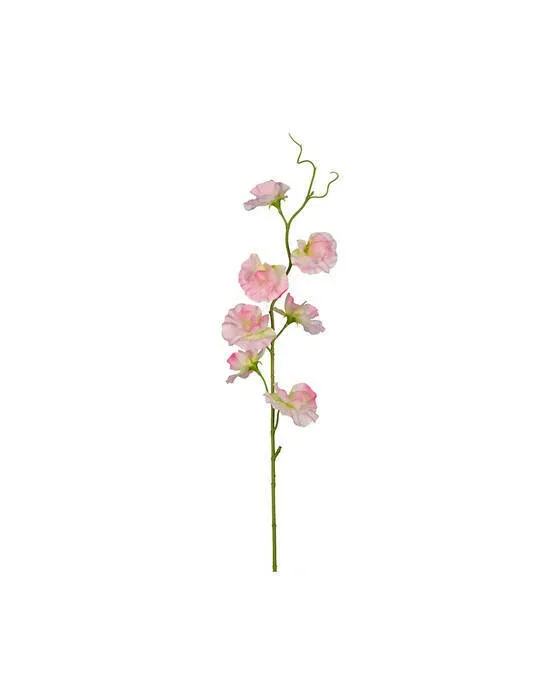 Sød ærte snitblomst rosa
