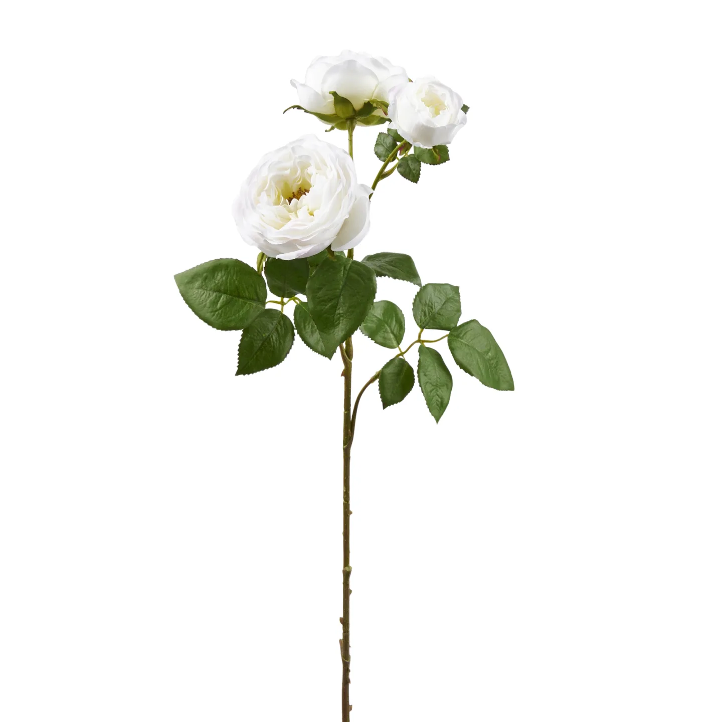 Edg Kunstblume Rose H: 80 cm | Schubiger Möbel