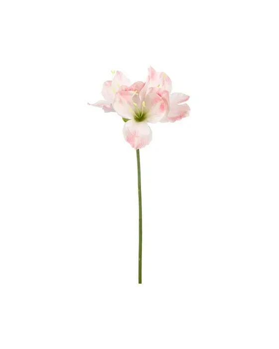 Amaryllis afskårne blomster rosa
