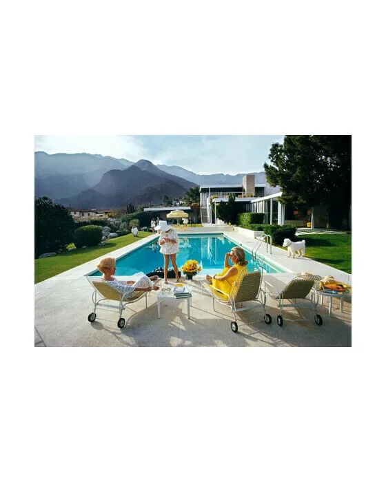 Poolside Poodle