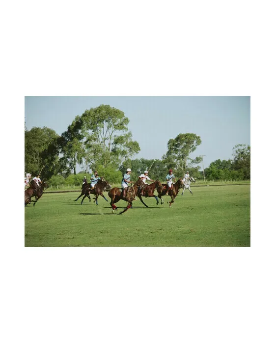 Polo Match