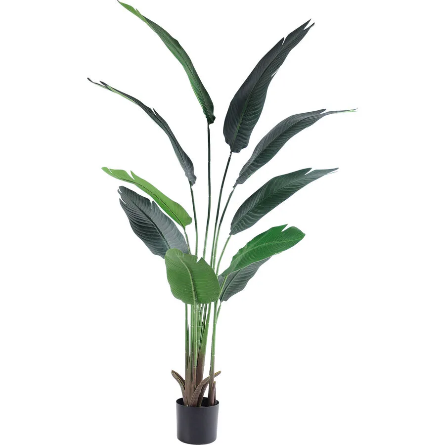 Kunstpflanze Plant Grün Kunststoff 150 cm