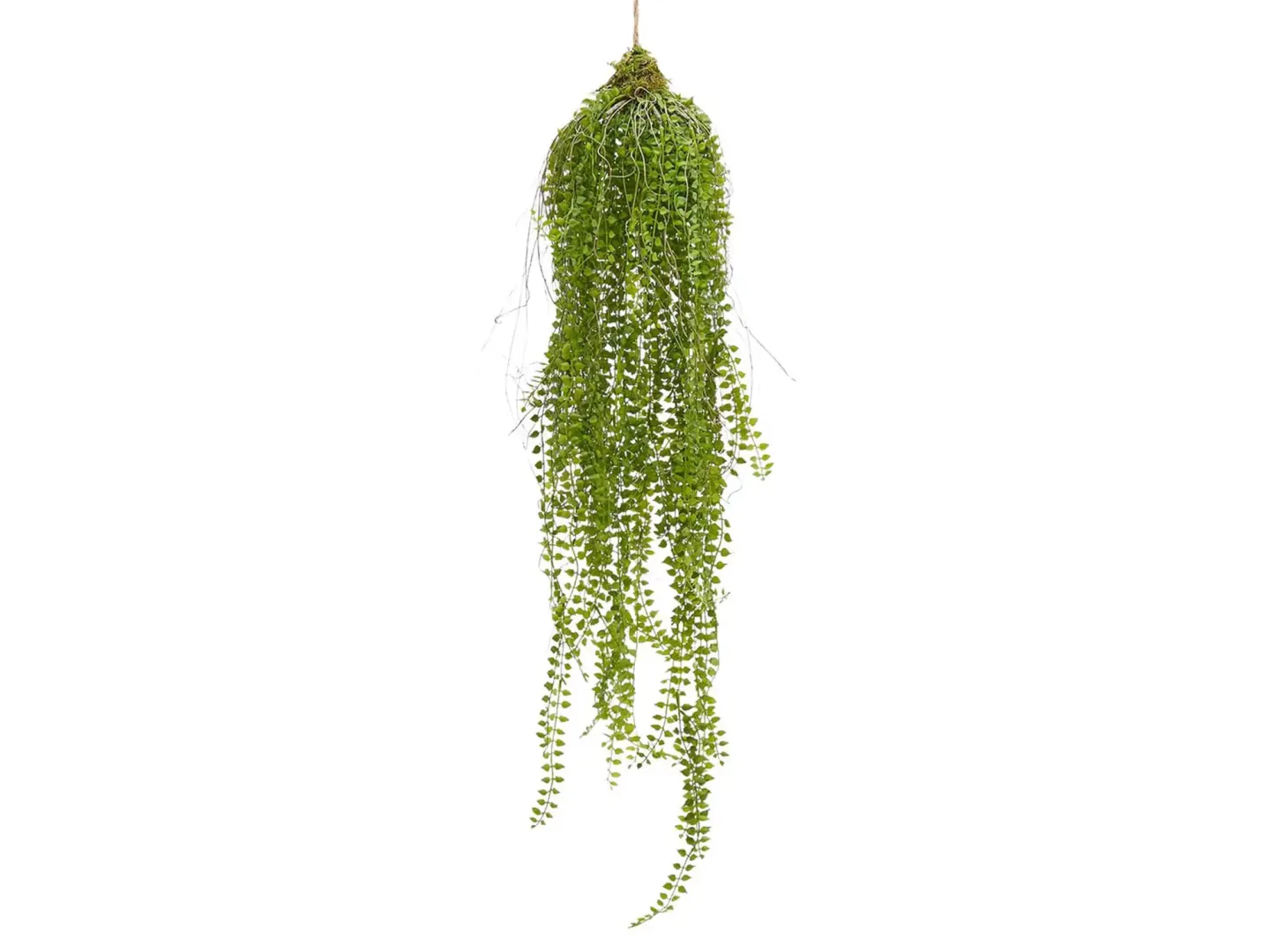 Edg Kunstpflanze Hängefarn H: 97 cm | Schubiger Möbel