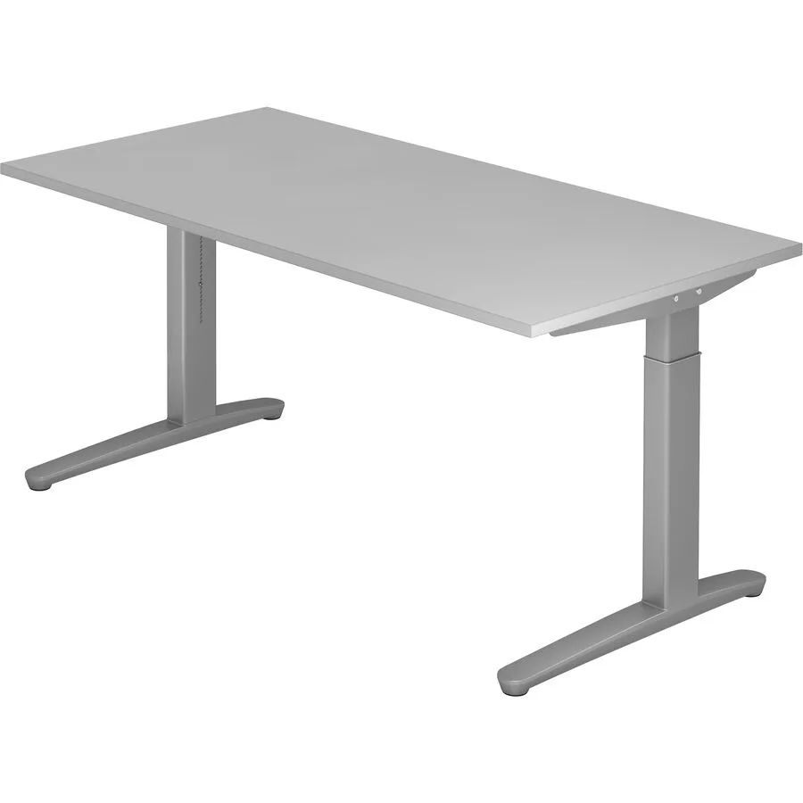 Schreibtisch Office grau Holzwerkstoff B 160 T 80 cm