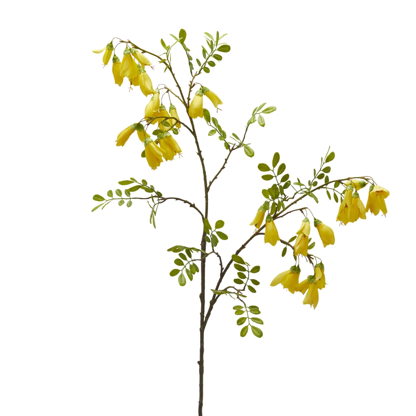 Edg Kunstblume Schmettelingsblütler H: 110 cm | Schubiger Möbel