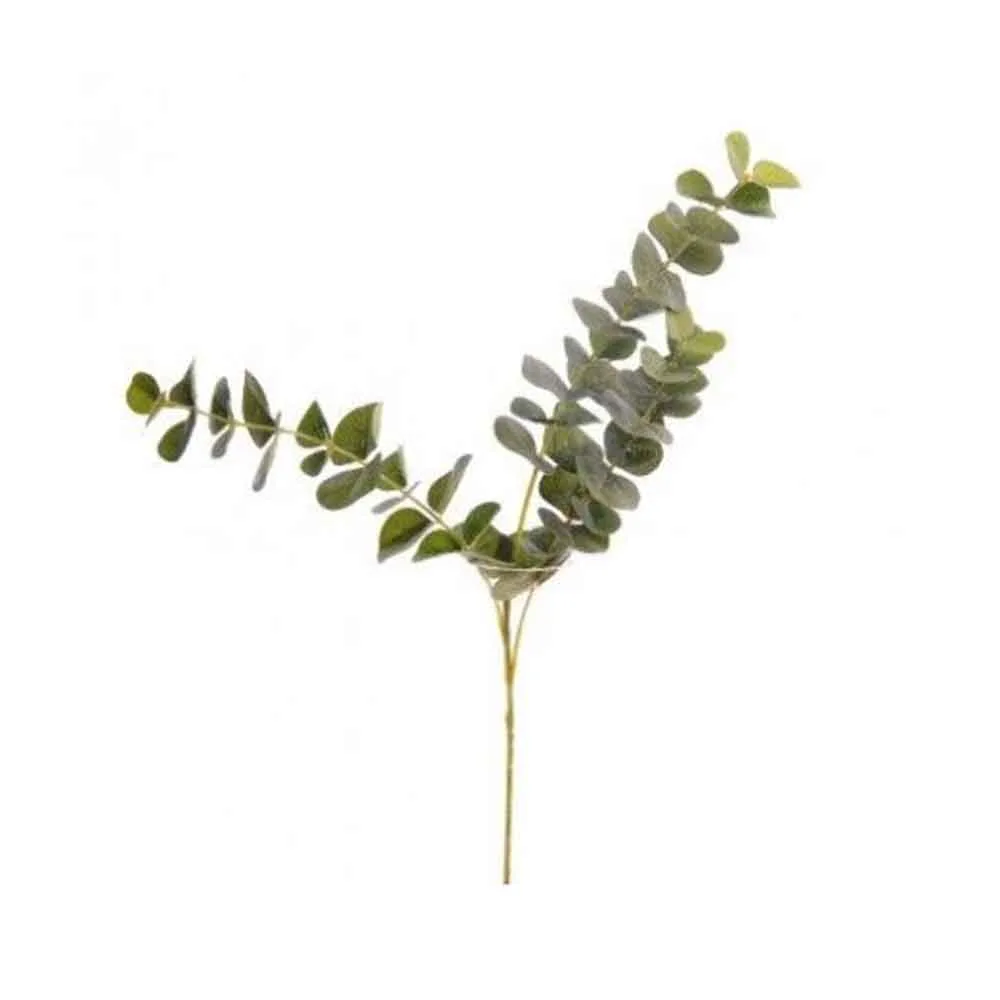 Eucalyptus Kvist 60 cm
