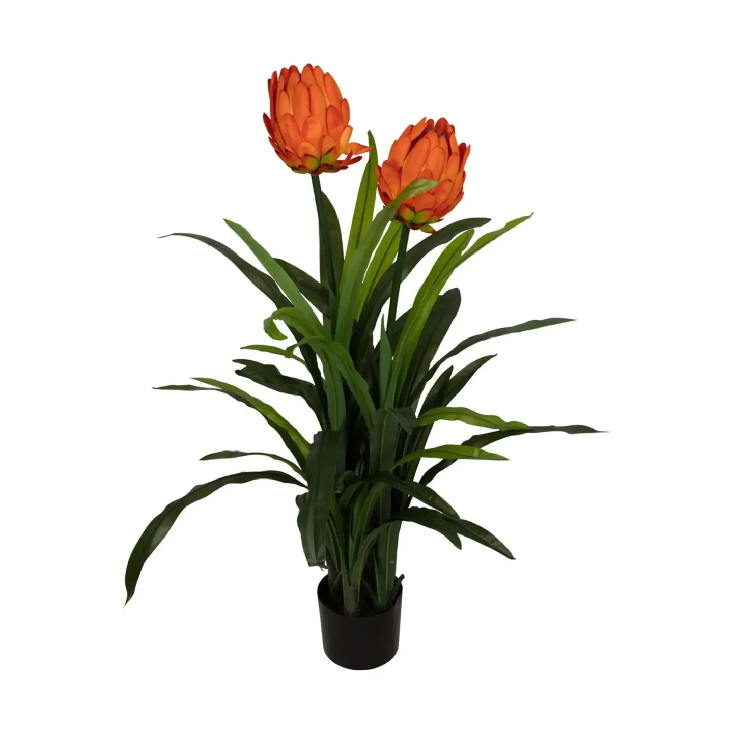 Decofinder Kunstpflanze Protea Orange H: 116 cm | Schubiger Möbel