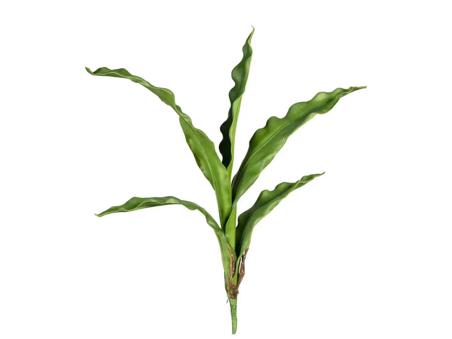 Gasper Kunstblume Cymbidiumblatt H: 55 cm | Schubiger Möbel