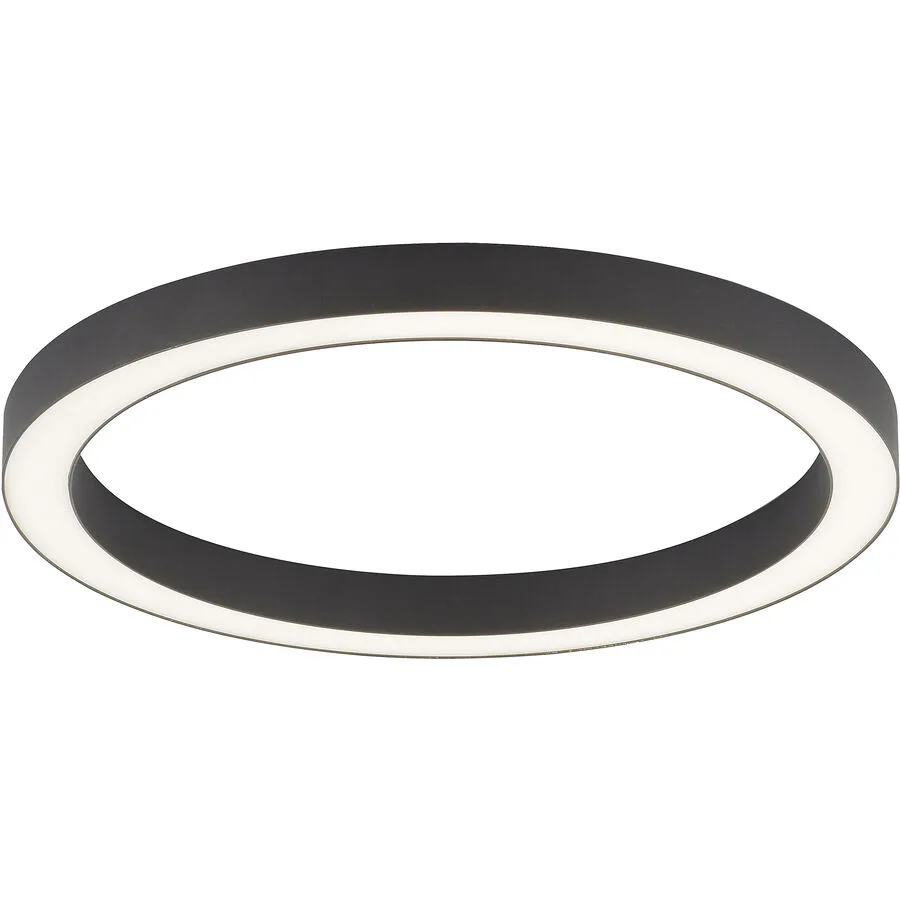 Lines Round LED-Deckenlampe, graphite, Ø 50 cm, CCT - PURE PURE Lines Round - Wohnzimmer - Modern - Metall - Rund
