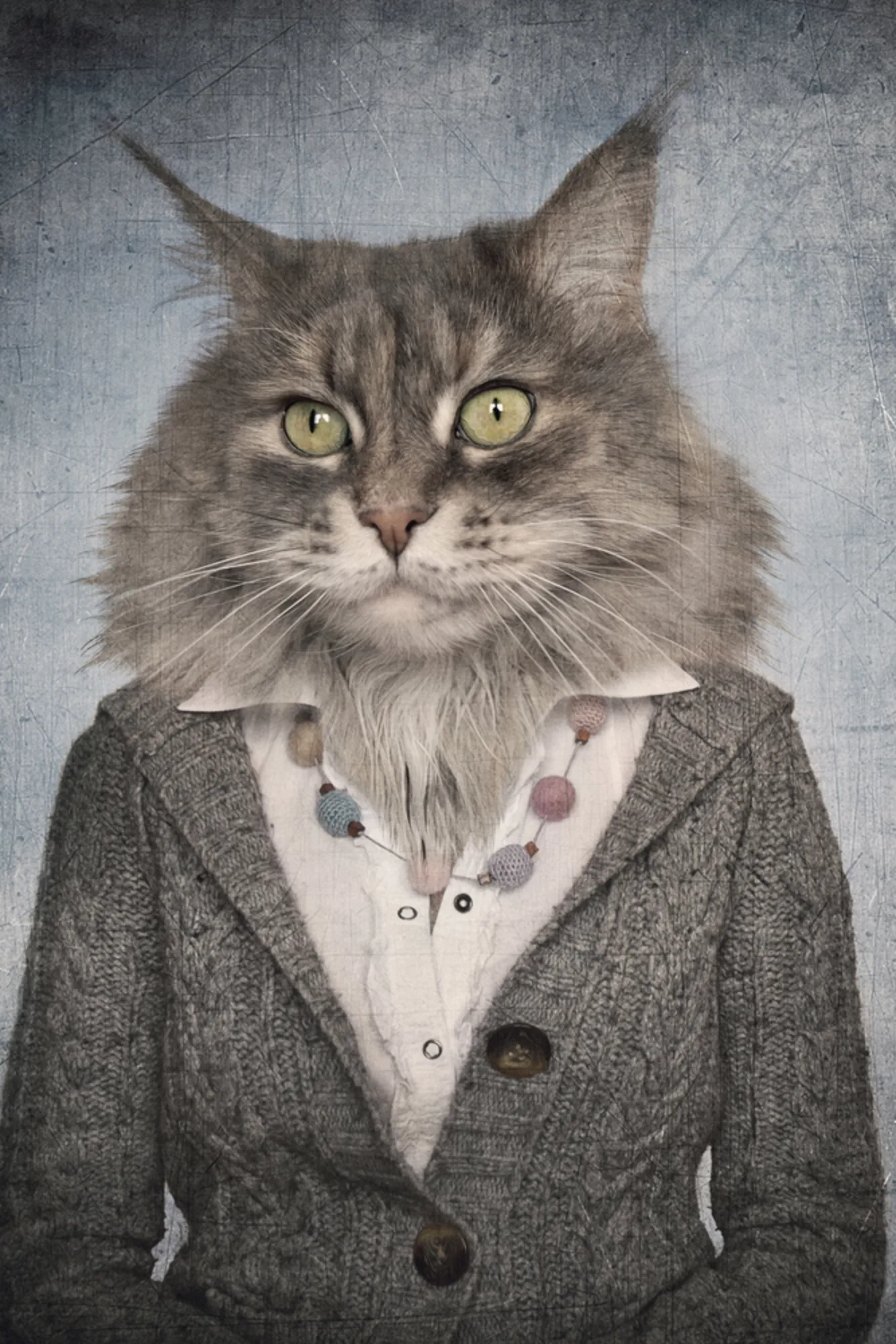 image LAND Alubild Katzenfrau | Schubiger Möbel