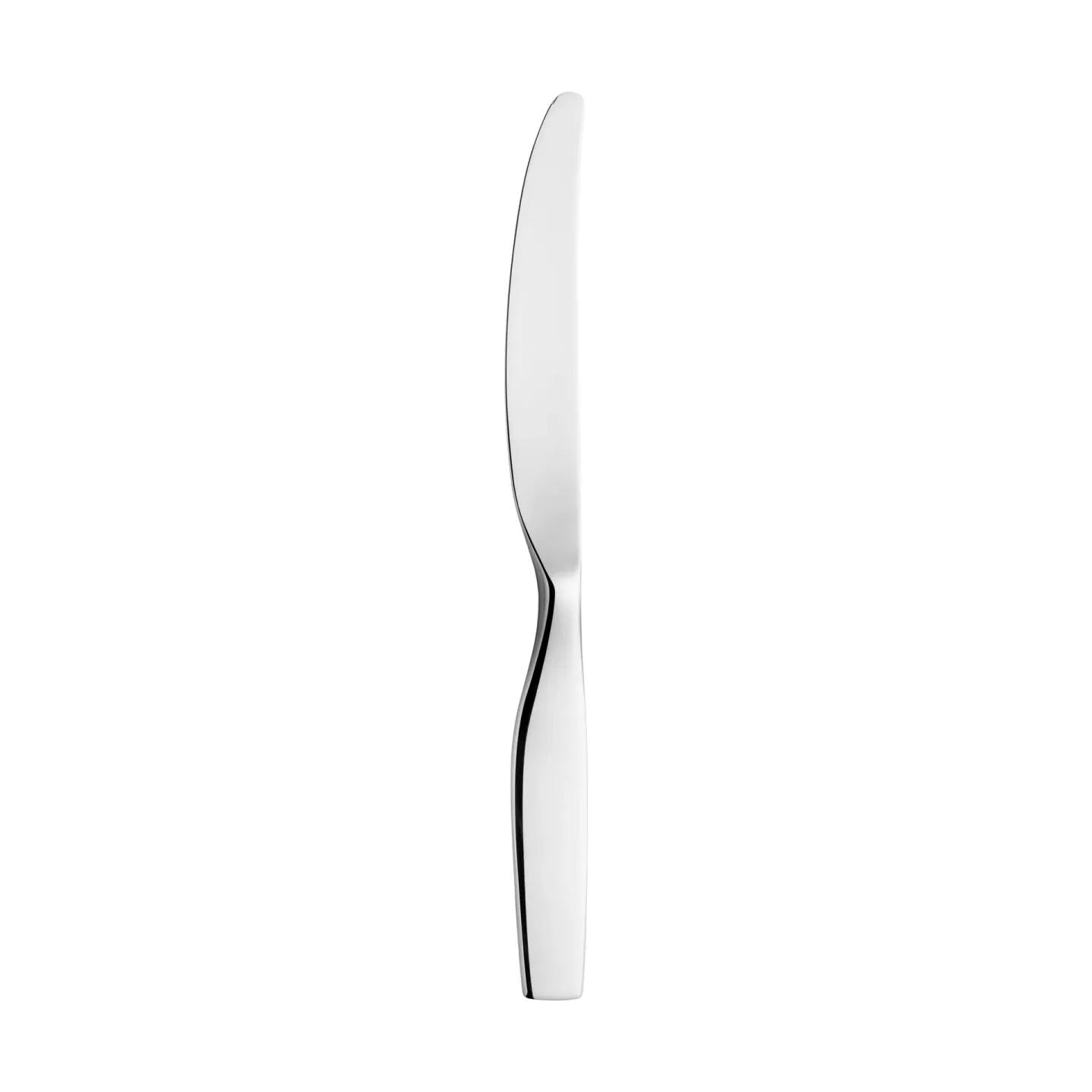 Iittala Citterio 98 Messer Blank
