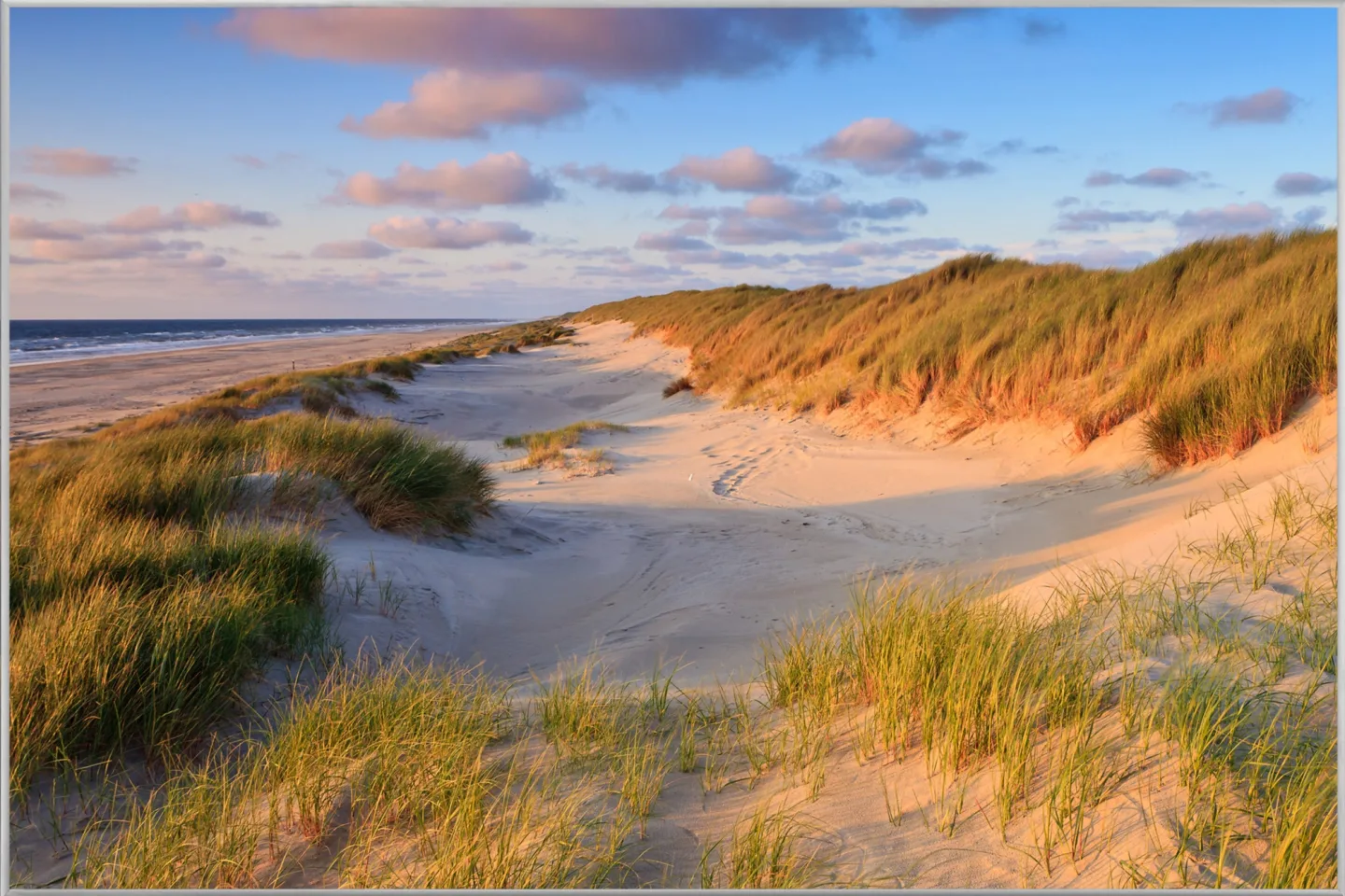 image LAND Bild mit Rahmen Dünen am Meer 2 | Schubiger Möbel