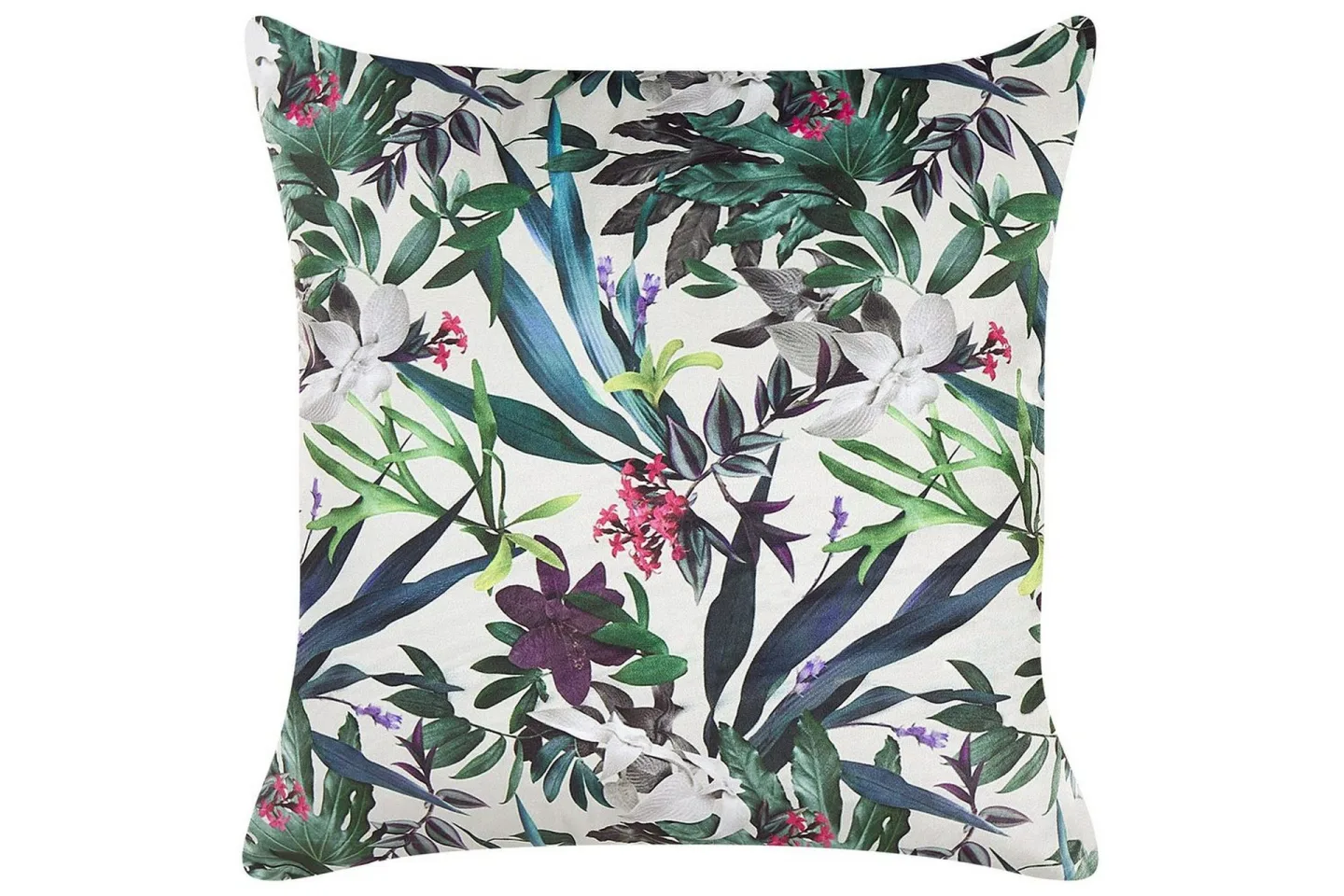 Prydnadskuddar Gasteria -