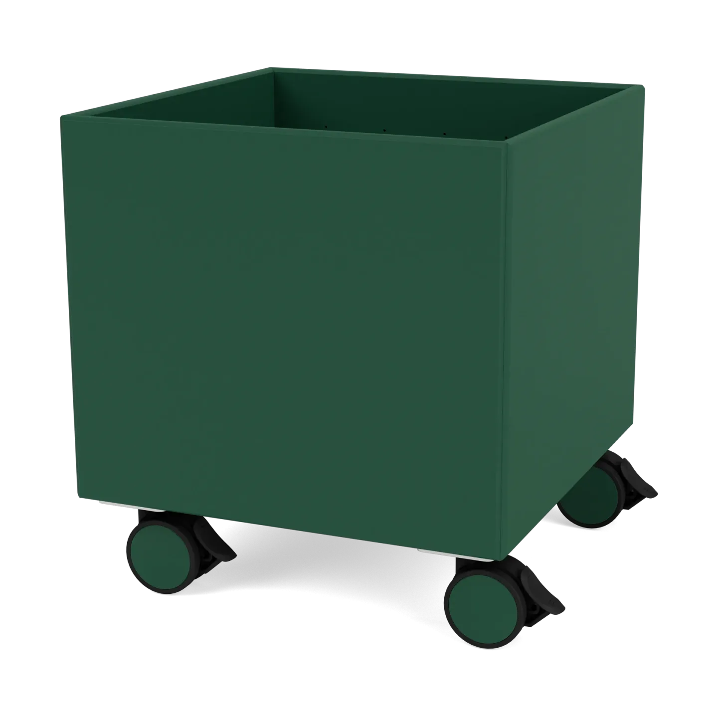 Montana Colour Box I – S6161 Pine