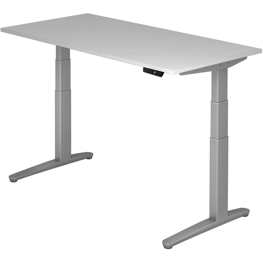 Schreibtisch Office grau Holzwerkstoff B 160 T 80 cm