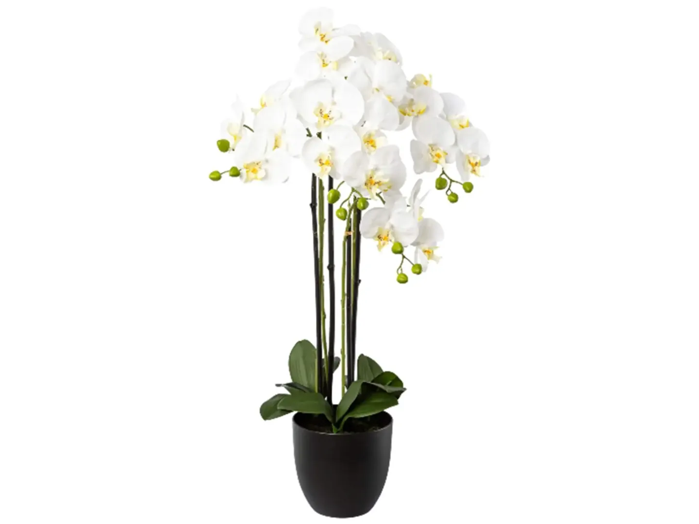Gasper Kunstpflanze Orchidee Weiss im Topf H: 83 cm | Schubiger Möbel