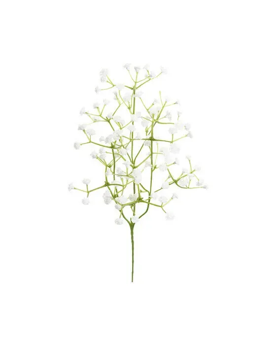 Brudeslør afskåret blomst hvid