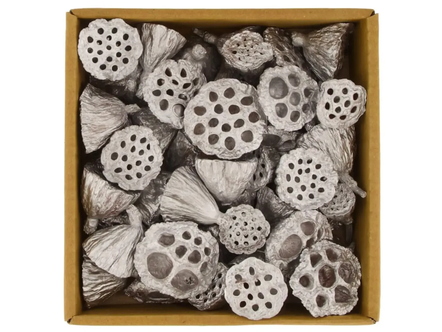 Decofinder Lotosblumen Natur Silber Grau | Schubiger Möbel