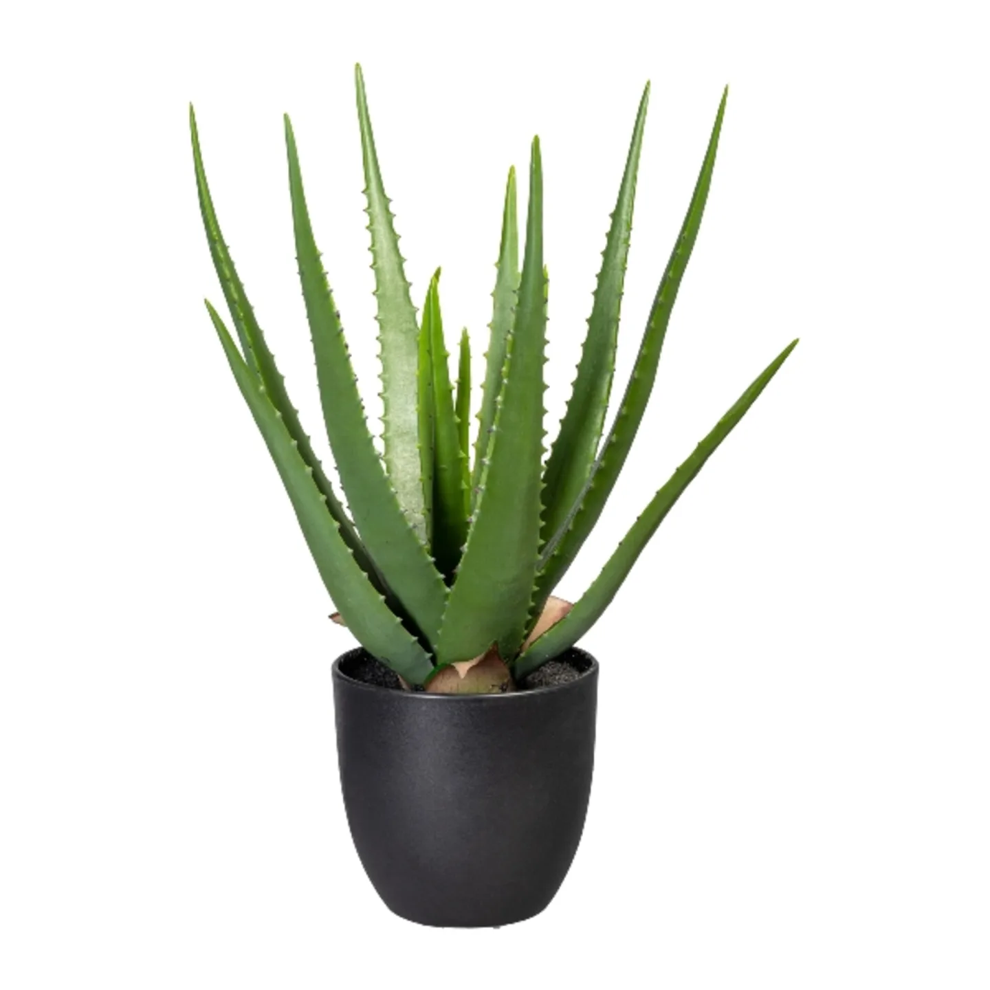 Gasper Kunstpflanze Aloe im Kunstofftopf, Grün H: 47 cm | Schubiger Möbel