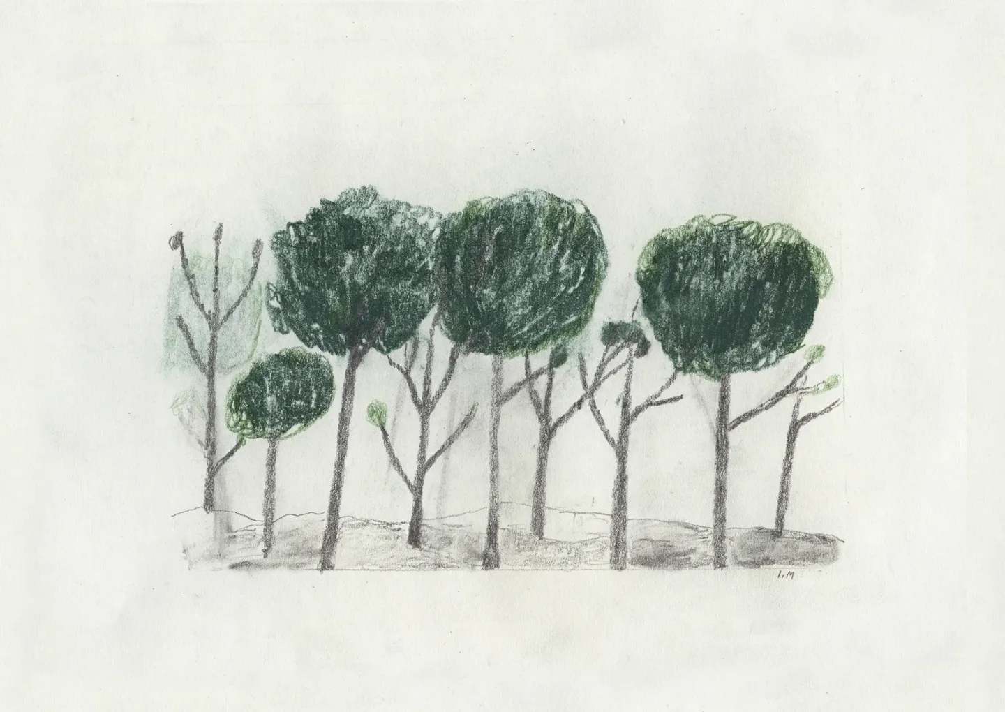 Fine Little Day Trees Poster 50 x 70cm Schwarz- off white