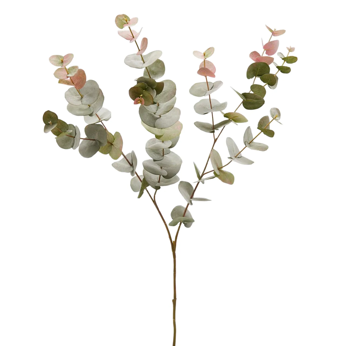 Edg Kunstblume Eukalyptus Hellgrün H: 100 cm | Schubiger Möbel