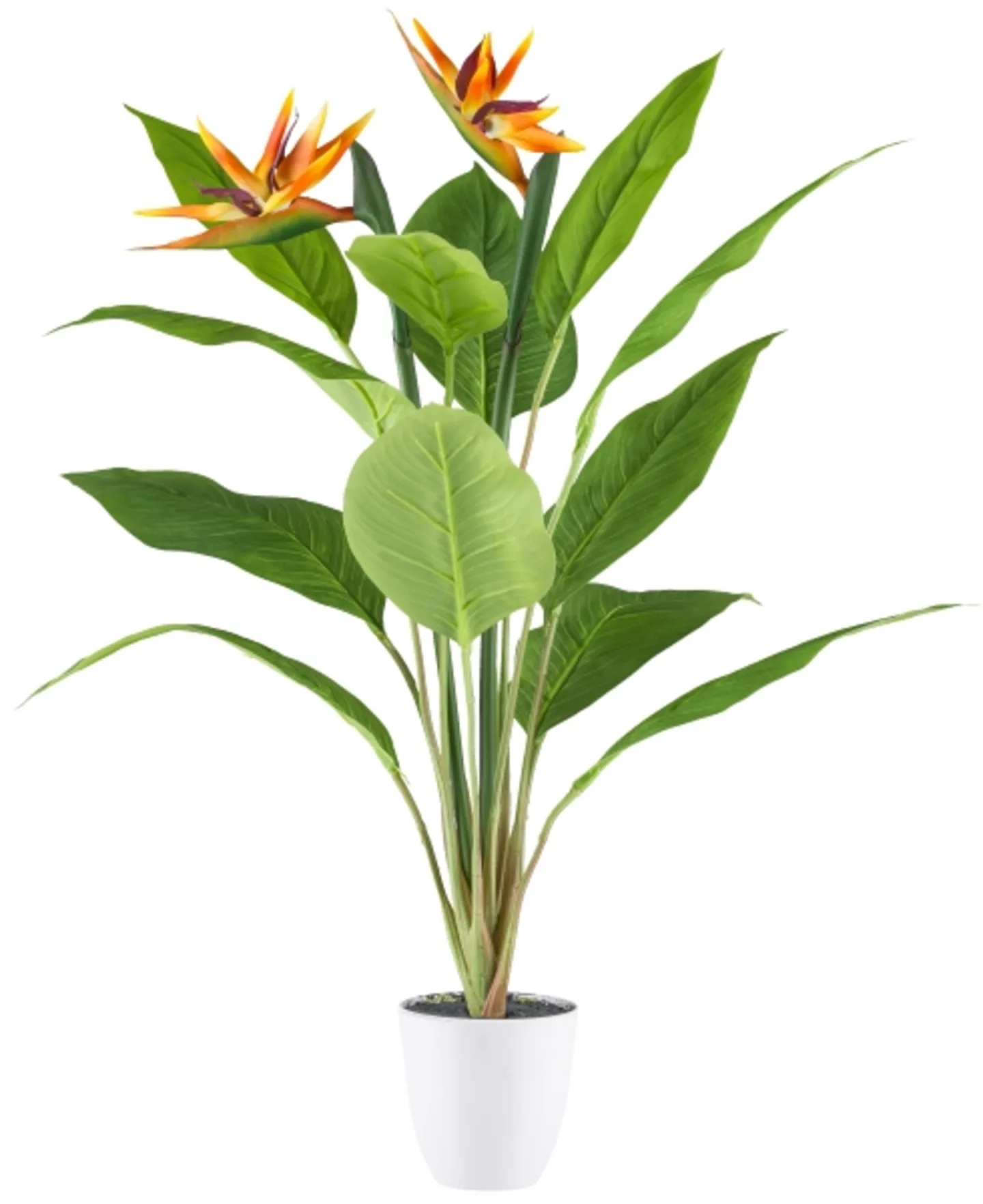 Gasper Kunstpflanzen Strelitzia im Kunststofftopf H: 80 cm | Schubiger Möbel
