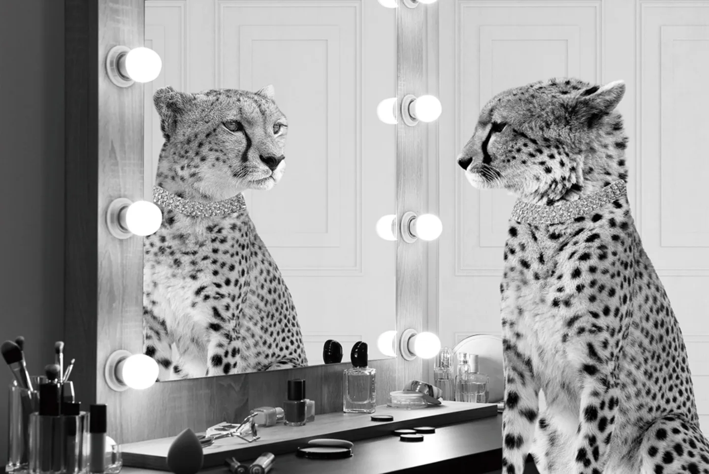 image LAND Glasbild Gepard Starlet | Schubiger Möbel