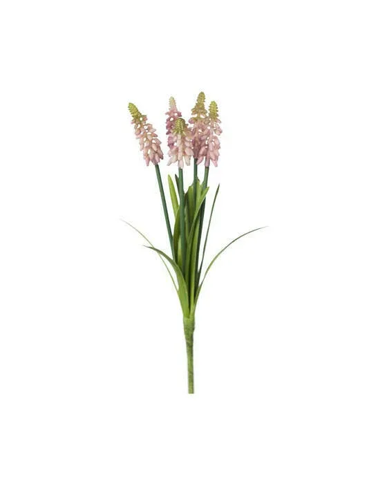 Perlehyacint snitblomst rosa