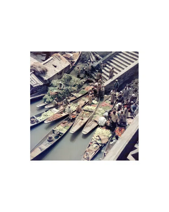 Dal Lake