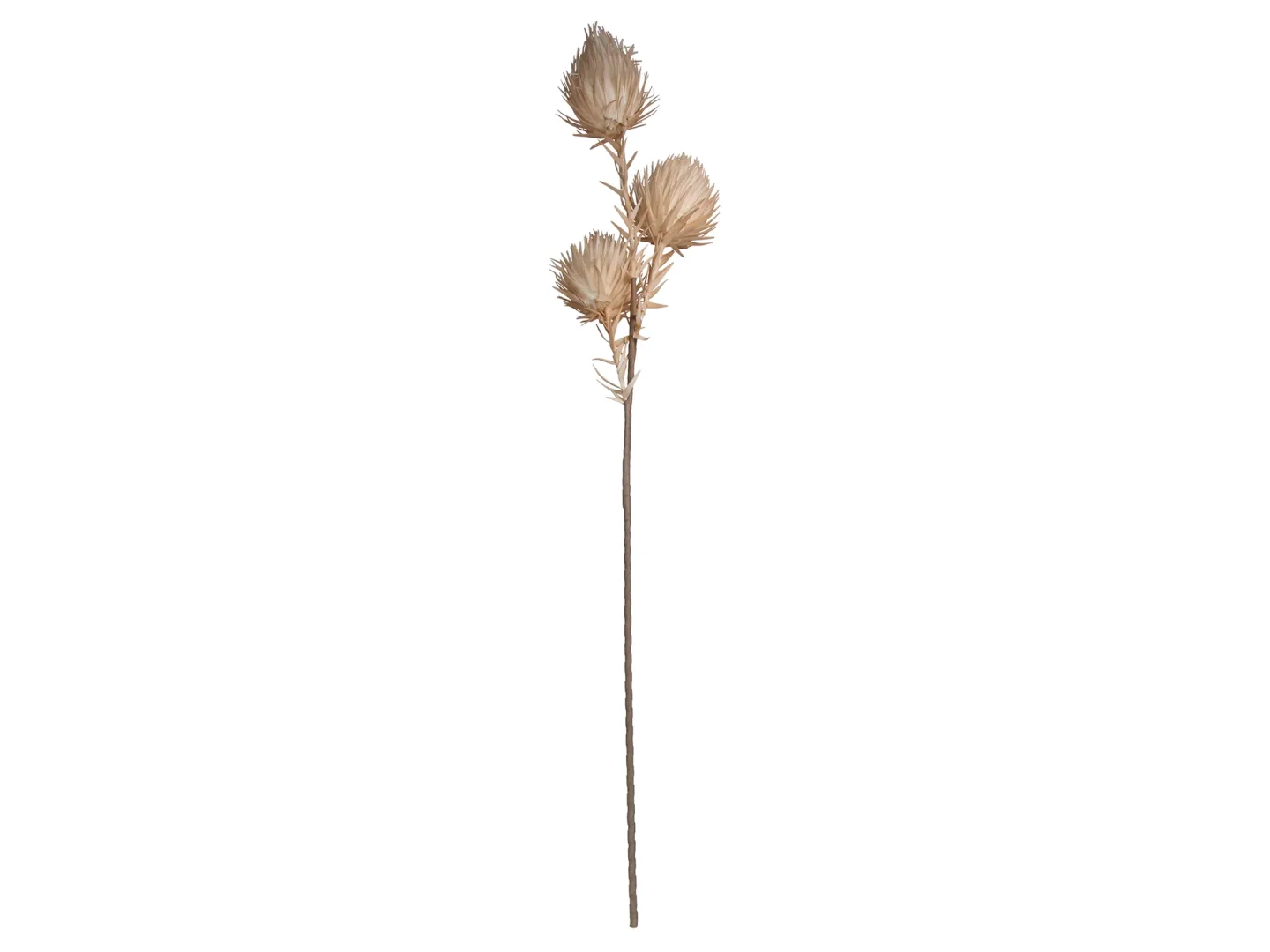 Kersten Kunstblumen 3 Knospen Beige H: 100 cm | Schubiger Möbel