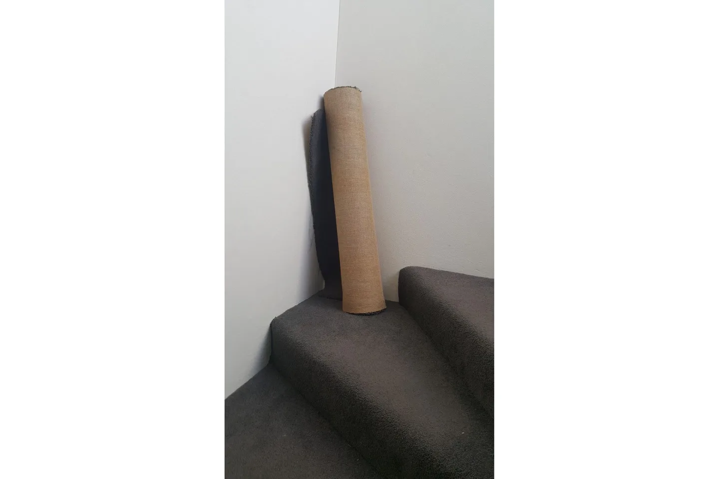 Poster Carpet 30x40 cm - Brun
