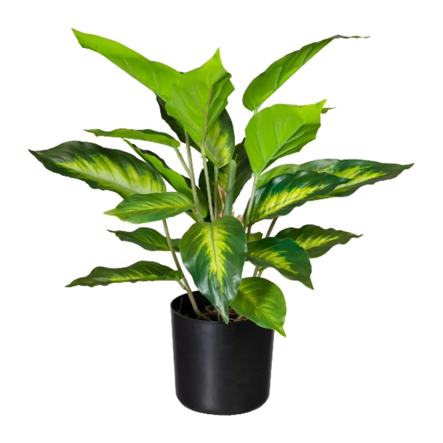 Gasper Kunstpflanzen Giftaron H: 45 cm | Schubiger Möbel